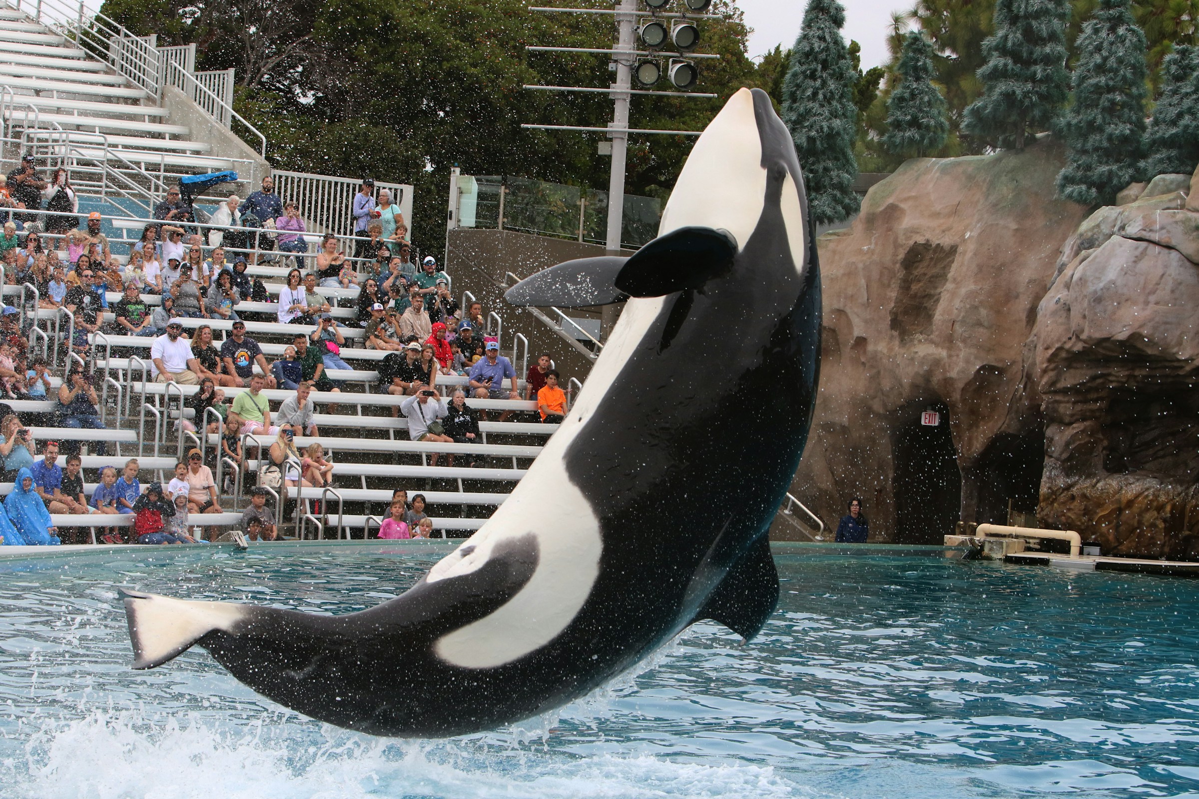 SeaWorld